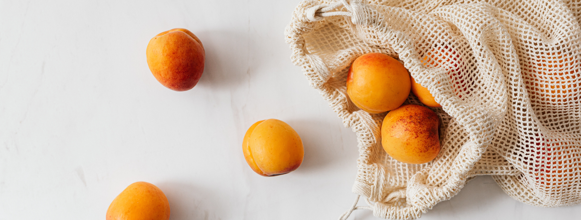 Auto generated site eco products store